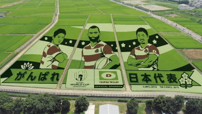 埼玉県行田市とリポビタンDのコラボによる田んぼアート。