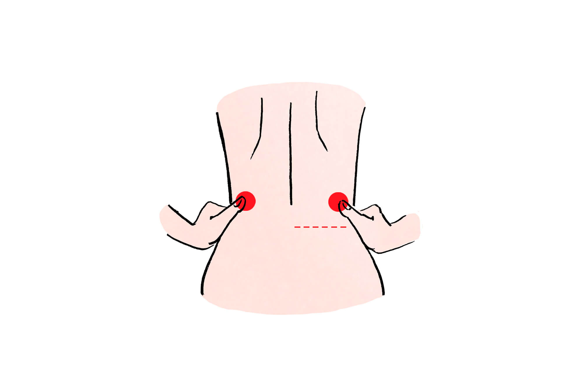 腰痛のツボ│肩こり・腰痛・筋肉痛│トクホン│大正製薬
