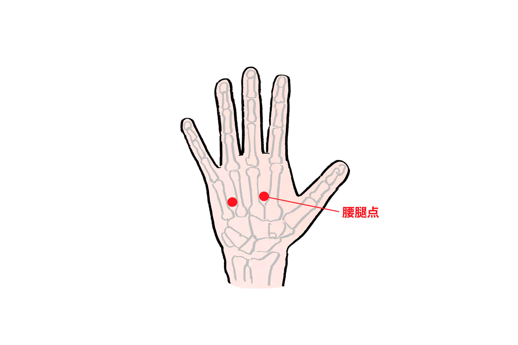 ぎっくり腰など強い痛みの軽減には手の甲のツボを押す 　腰腿点（ようたいてん）