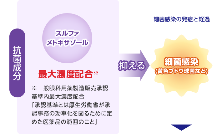 4つの有効成分が、ものもらい・結膜炎の 原因菌の繁殖を抑え、かゆみなどの炎症を鎮め、 炎症で傷ついた目の状態を改善します。