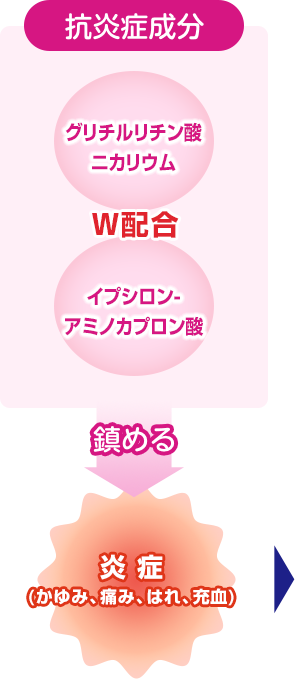 4つの有効成分が、ものもらい・結膜炎の 原因菌の繁殖を抑え、かゆみなどの炎症を鎮め、 炎症で傷ついた目の状態を改善します。