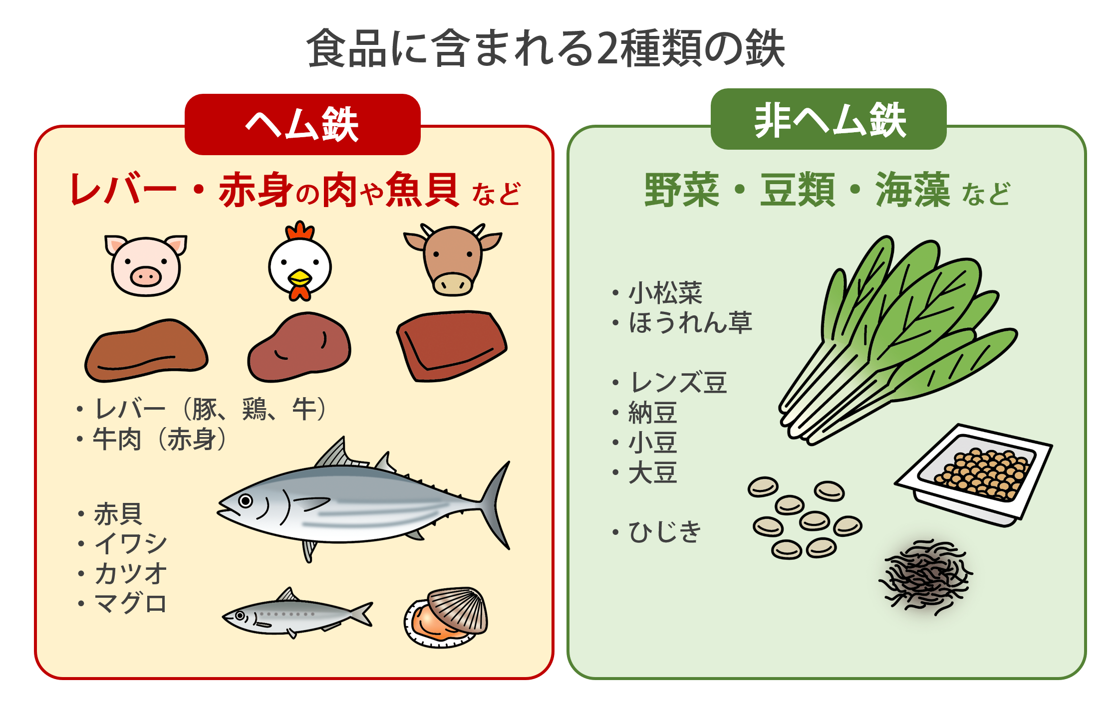 食品に含まれる2種類の鉄分「ヘム鉄」「非ヘム鉄」